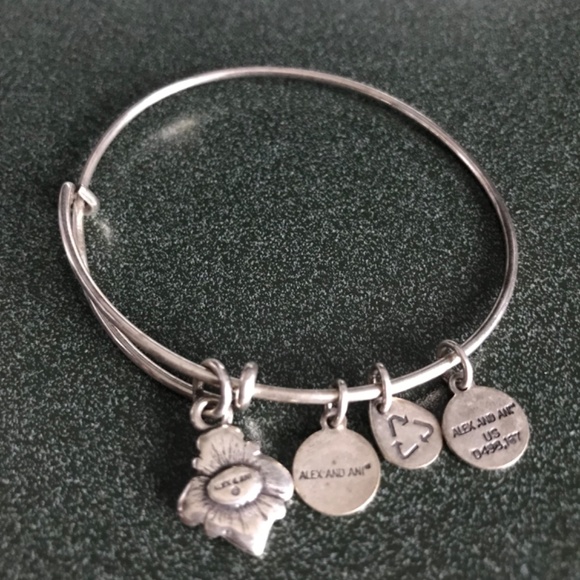 Alex And Ani Expandable Wire Bangle Bracelet - Picture 9 of 16